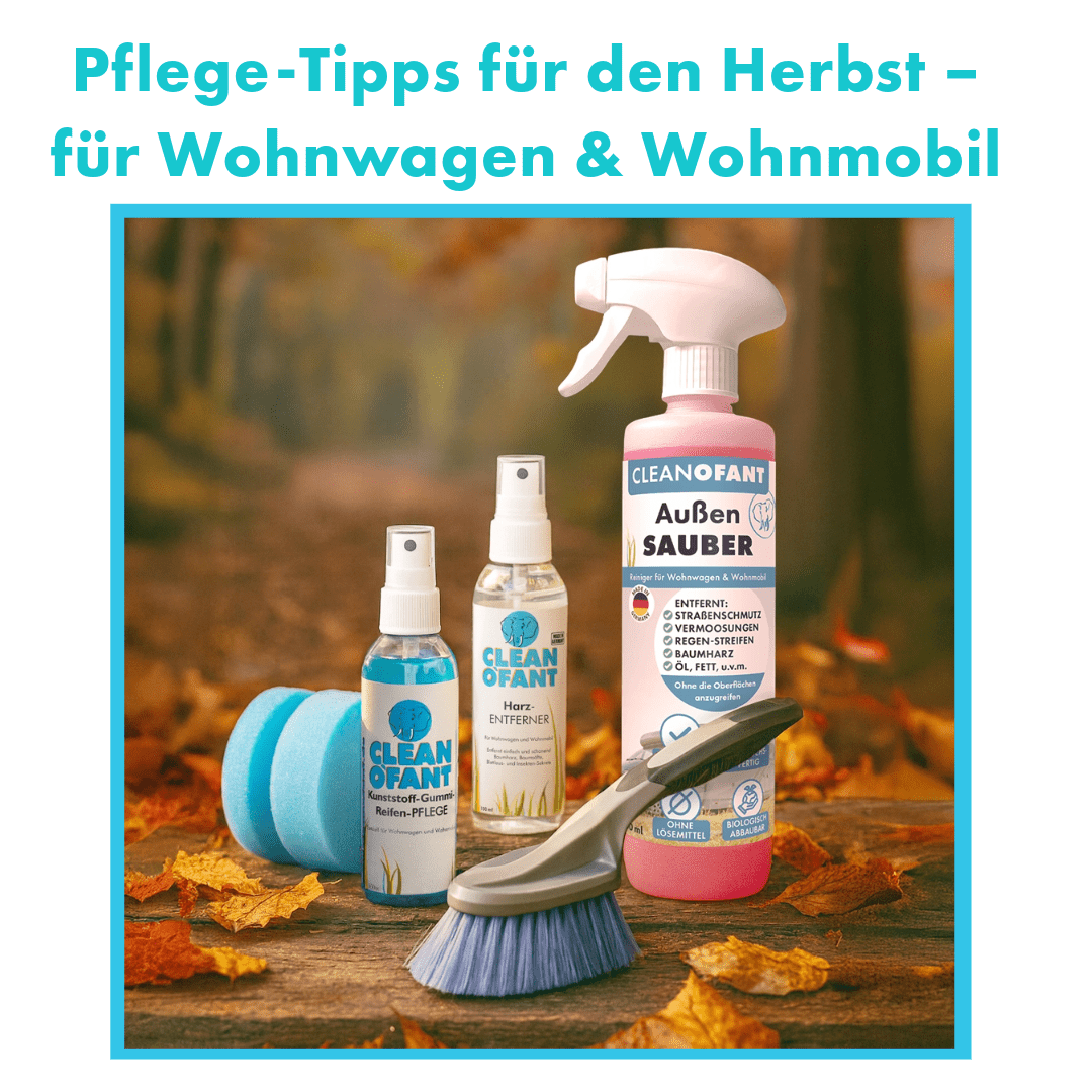 Pflege-Tipps für den Herbst – für Wohnwagen & Wohnmobil - CLEANOFANT