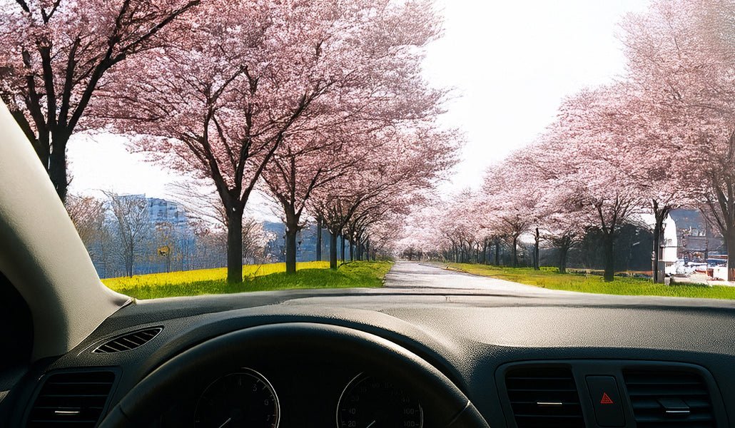 Frühjahrsputz für Wohnmobil & Wohnwagen 🌼 - CLEANOFANT