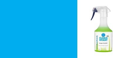 Innenreiniger Wohnwagen & Wohnmobil - CLEANOFANT