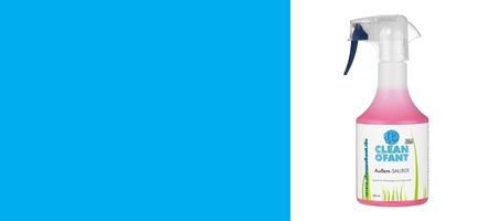 Regenstreifenentferner Wohnwagen & Wohnmobil - CLEANOFANT