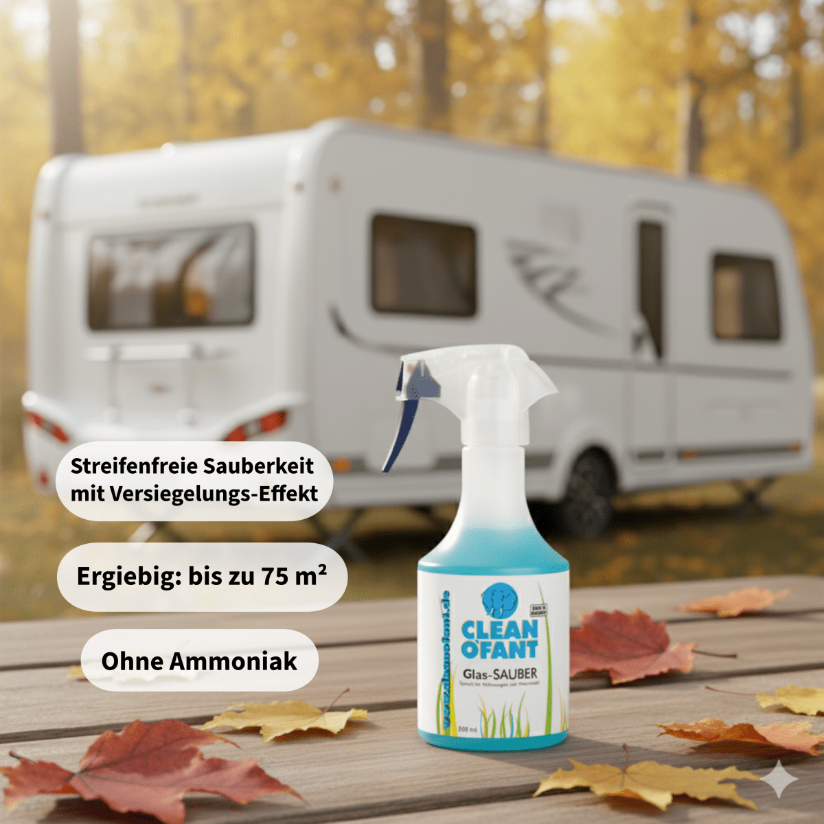 Herbst - Set – Glasreiniger & Kunststoffpflege für Wohnmobil und Wohnwagen - CLEANOFANT